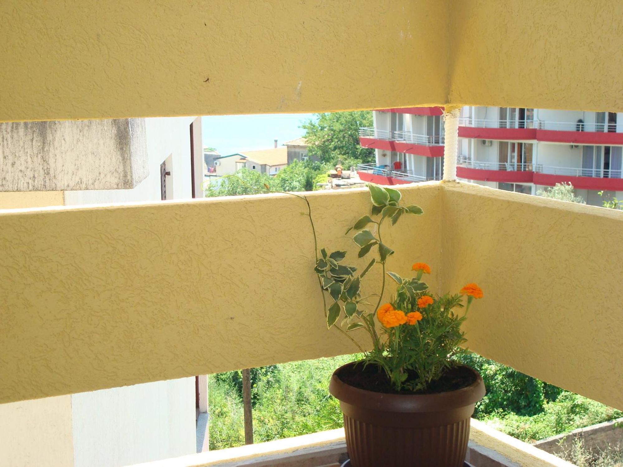 Apartments Cejovic Ulcinj Exterior foto